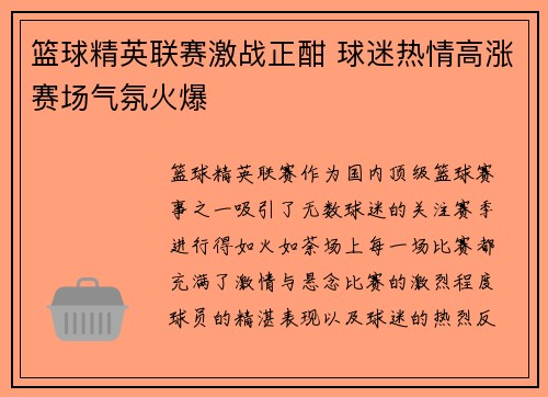 篮球精英联赛激战正酣 球迷热情高涨赛场气氛火爆