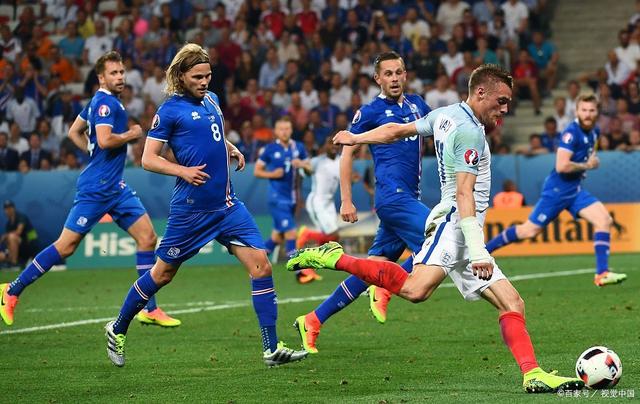 开云中国-科维托娃为什么叫科猪