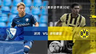 开云中国-冲刺阶段德甲焦点战，法兰克福伤情更新，气氛紧张，球探报告显示潜力