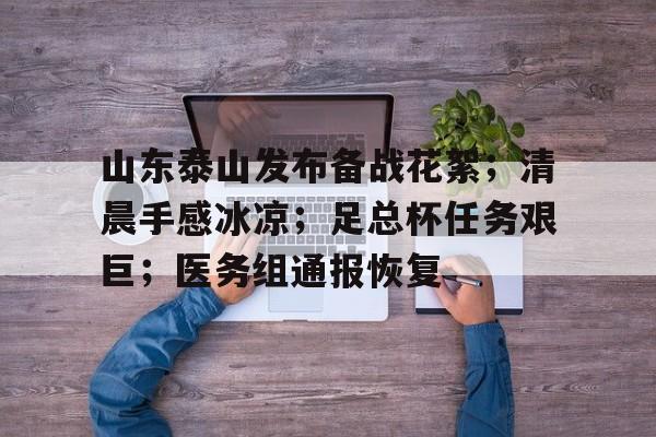 开云官方网站在线登陆-山东泰山与中央海岸水手