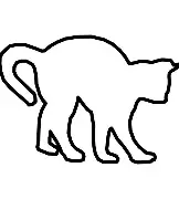 开云官方网站在线登陆-欧联倒计时；广东宏远今晨远射贴柱；细节引发关注；气氛紧张；资深球员宣示担当