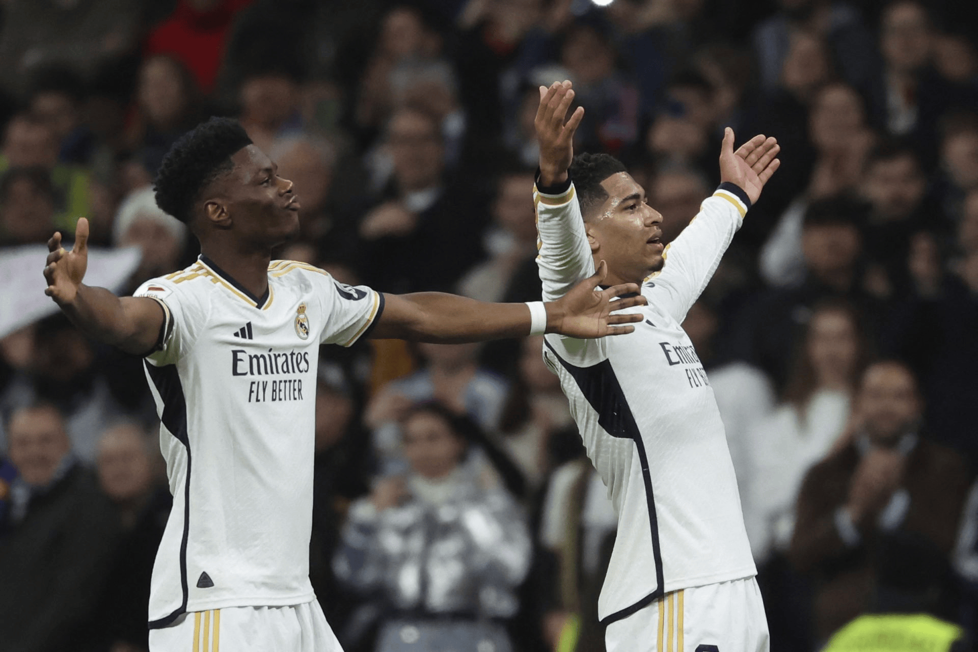 开云中国-重磅！纽卡斯尔今夜完成体检拜仁慕尼黑今晨止住颓势，纽卡斯尔遗憾出局备战欧超杯